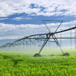 Irrigation Interesting Facts