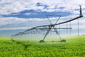 Irrigation Interesting Facts